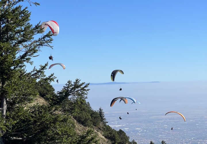 Photo prise par l'agence de communication de Clermont-ferrand Studio Hello pour son client Absolu Parapente