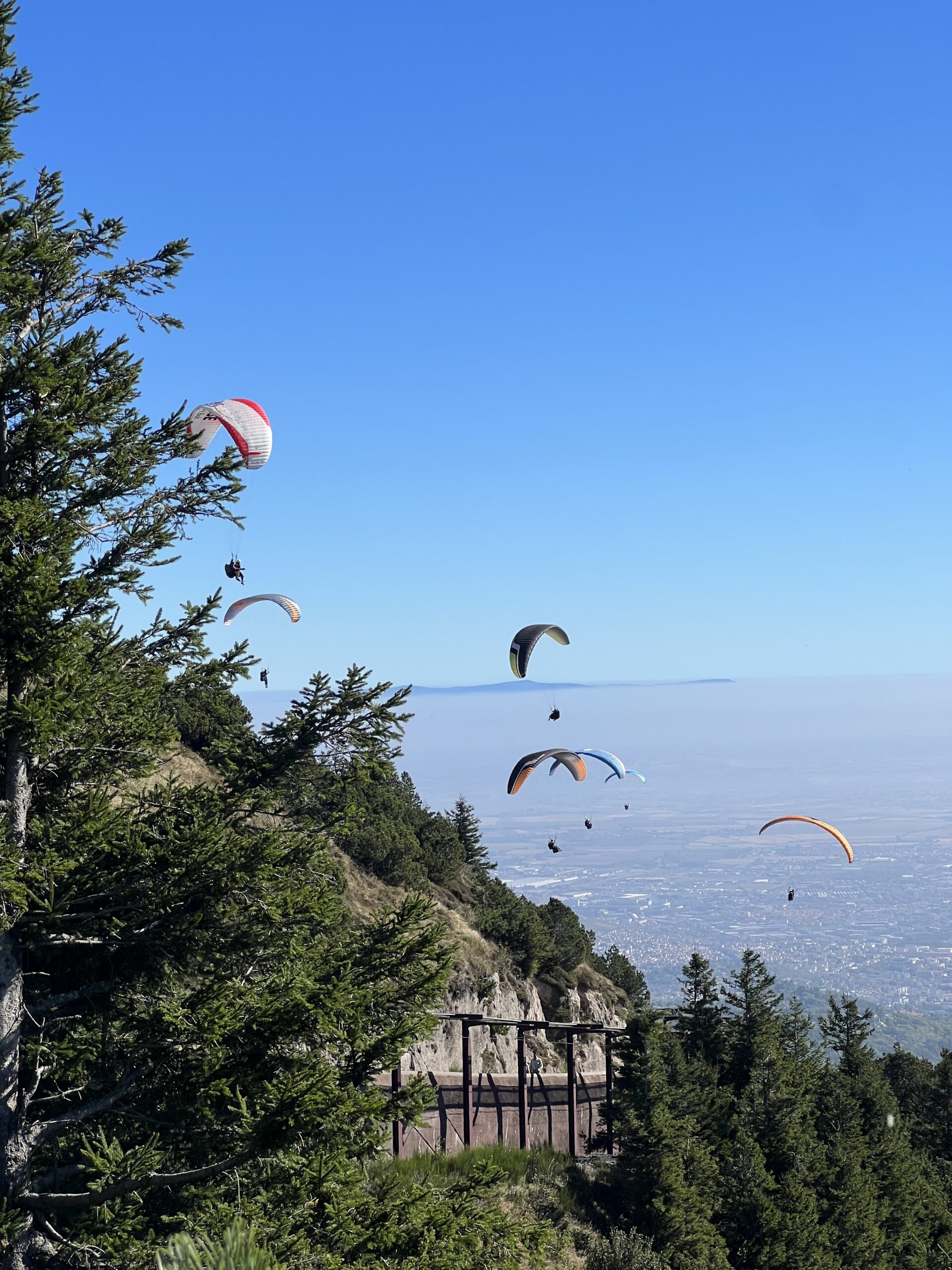 Dans les airs avec Absolu Parapente